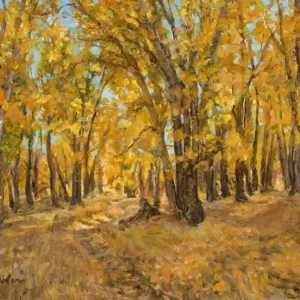 Autumn Trees Near Wood River Trail